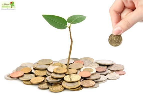 13 توصیه برتر وارن بافت