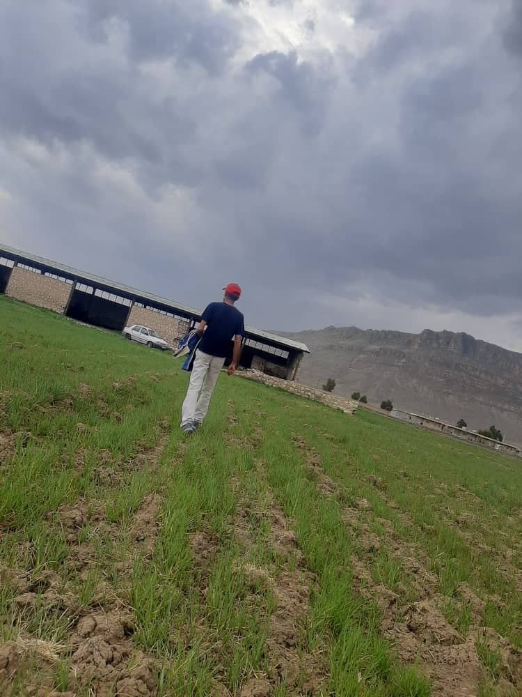 مصطفی عسکریان نسب