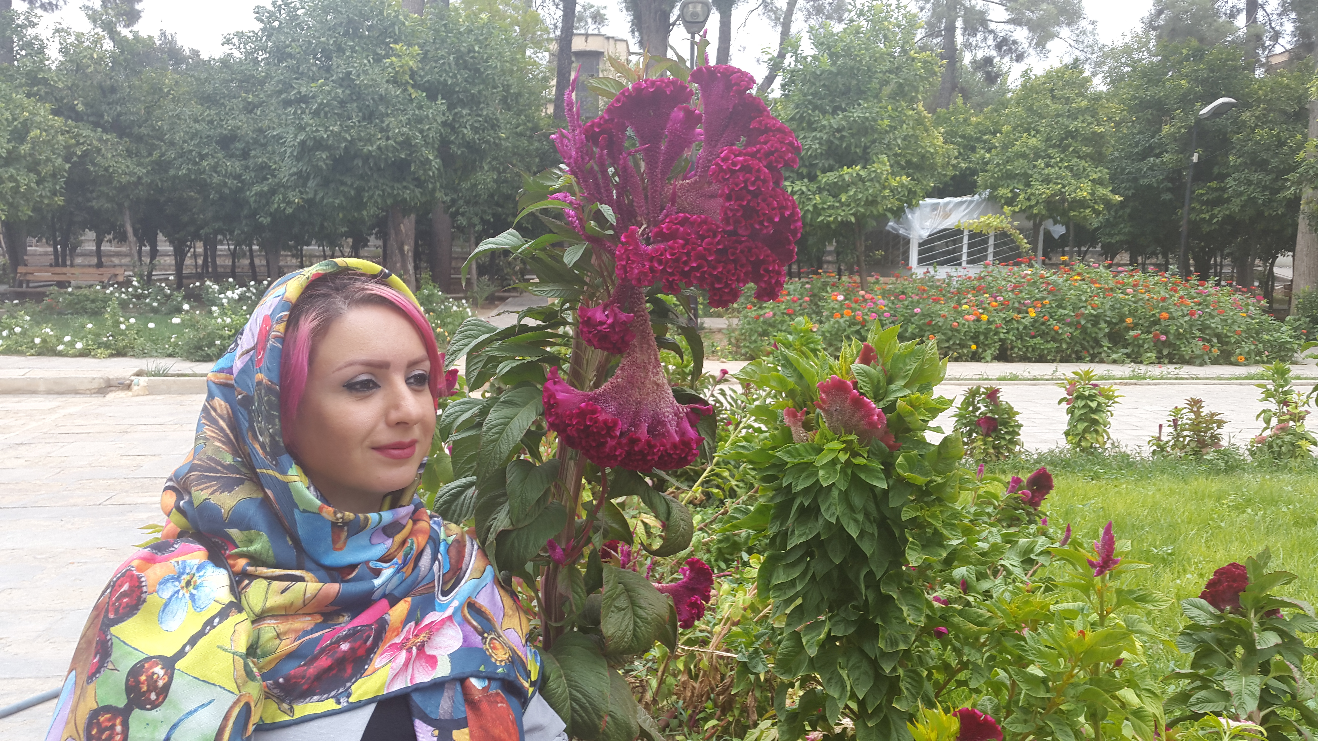 ژیلا جمشیدی نیا