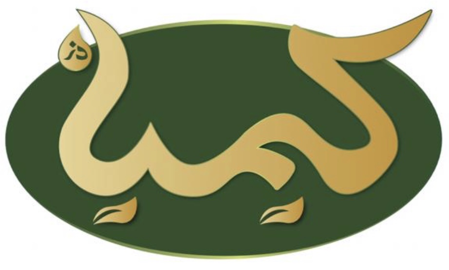 کاربرحسین نظری