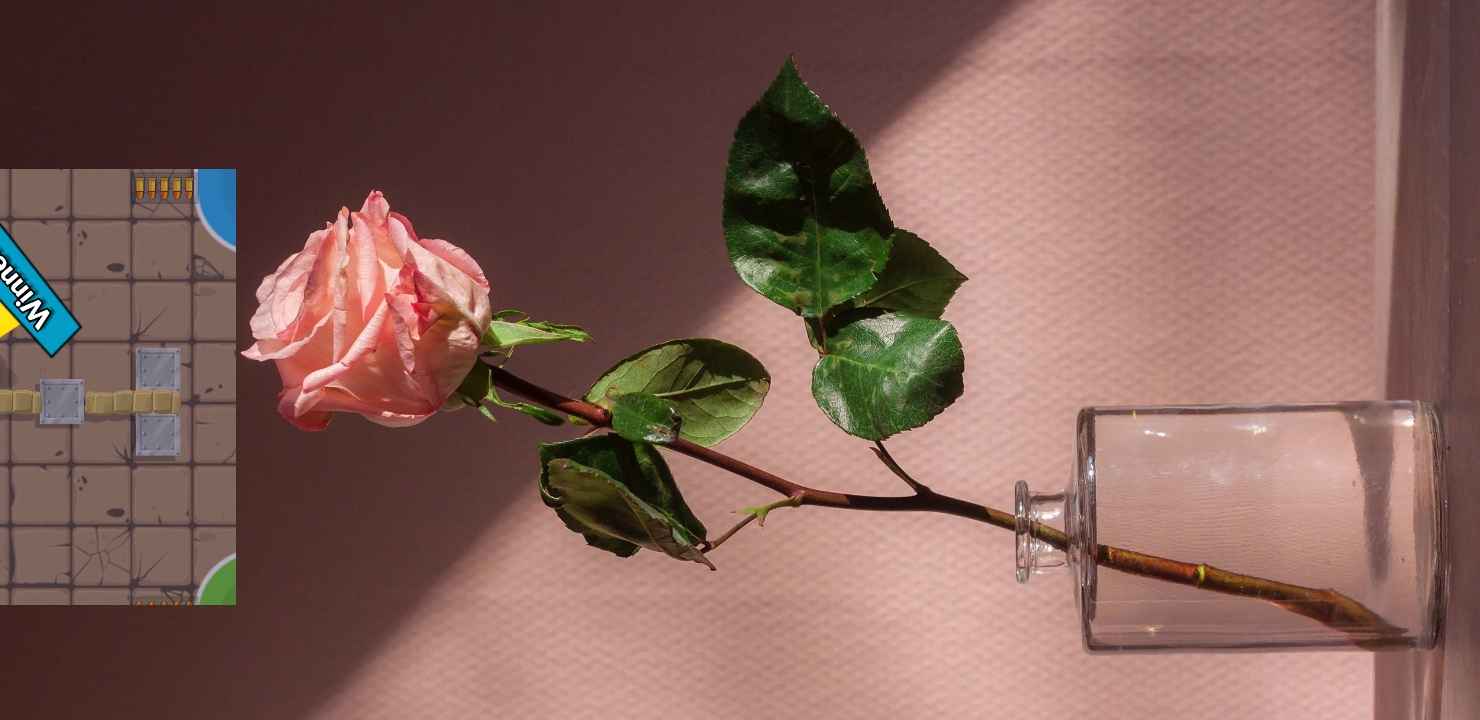 سید جواد شیخ الاسلامی