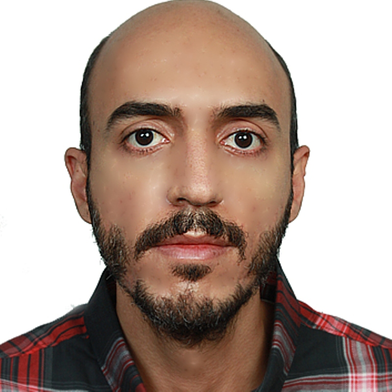 محمود حجتی