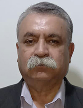 سیدمحمود مرعشی نیا